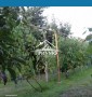 Дом в Новой Збурьевке