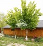 Продается  действующий банный комплекс из 3 (трёх) отдельно стоящих и действующих бань в поселке  Камышаны
