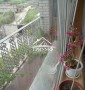 Дом с подсобным хозяйством в Кизомысе!