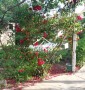 Дом с с участком 5 соток на Северном по улице Левицкого!