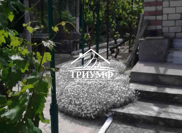 Дача у реки в Голой Пристани!