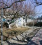 Дом в самом центре Зеленовки!