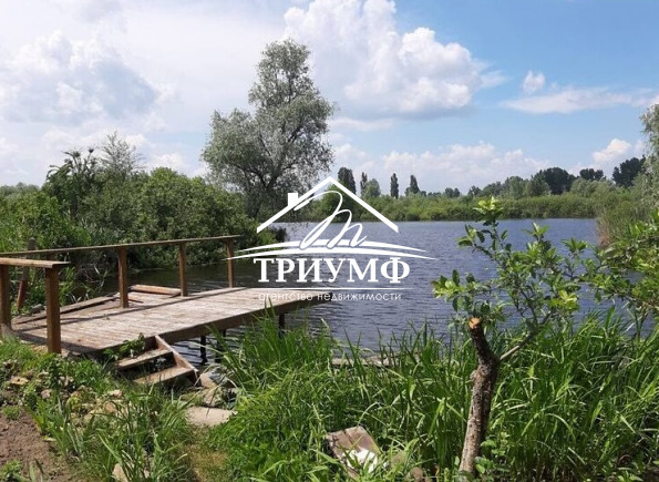 Сказочное место на берегу озера. пос. Озерки.