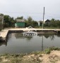 Продам Дачу участок на реке Кошевая у воды подъезд машиной
