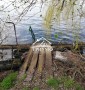 Дача у воды. Потемкинский Остров.