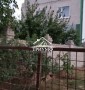 Шикарный 2-этажный дом в Антоновке