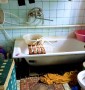 Дом в Белозерке по центральной улице