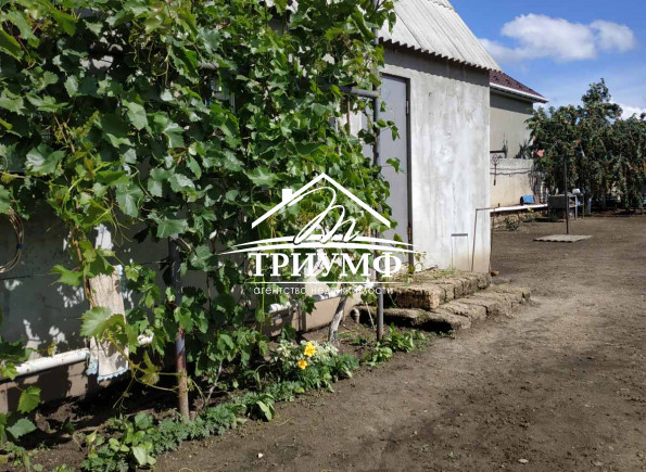 Участок с домиком в Антоновке. Начало.