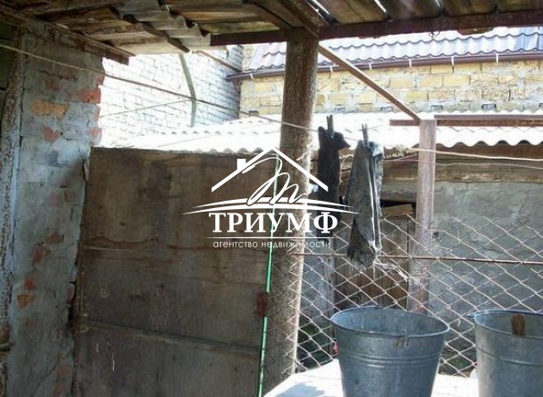 Дома часть в Центре со своим приватизированным участком.