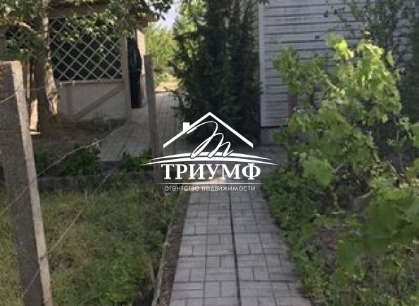 Дача на старом Днепре
