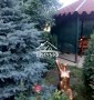Дом в Антоновке с видом на Днепр!