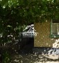 Дом в районе Острова