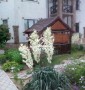 Красивый дом (пансионат) в Железном Порту в отличном месте общей площадью 600 кв.м.