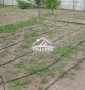 Дача возле леса!