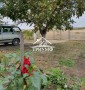 Дача возле Ингульца
