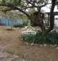 Место силы и остров свободы! Дача пос. Нечаево.