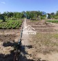 Дачный участок на Карантинном Острове