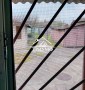 Часть дома в центре