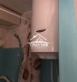 Покупайте сейчас!! Домик в Центре!
