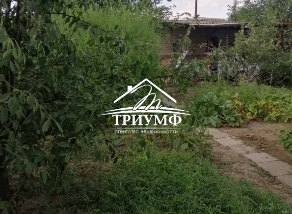 Дом с участком в Камышанах