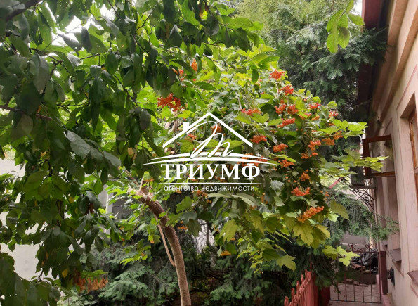 Срочная продажа! Дом в центре города с камином!