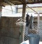 Дома часть в Центре со своим приватизированным участком.