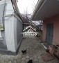 Два дома на участке.