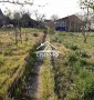 С выходом на Днепр Дача. Лилея.