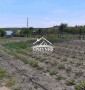 Дом в 1ой линии у воды в живописном месте!
