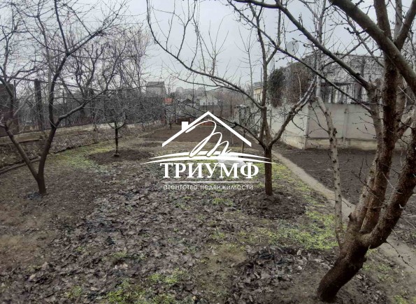 Дом в центре  с большим участком