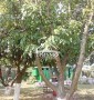 Продается большой дом