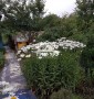 Дача на Левом берегу