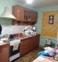 Дом с участком в Камышанах