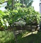 Дом в районе Острова