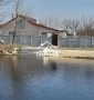 Продается загородный дом-дача в кооперативе Бригантина, поселок Нечаево