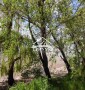Участок, дом на берегу Каховского лимана первая линия!!