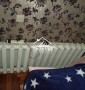 Дом с подсобным хозяйством в Кизомысе!