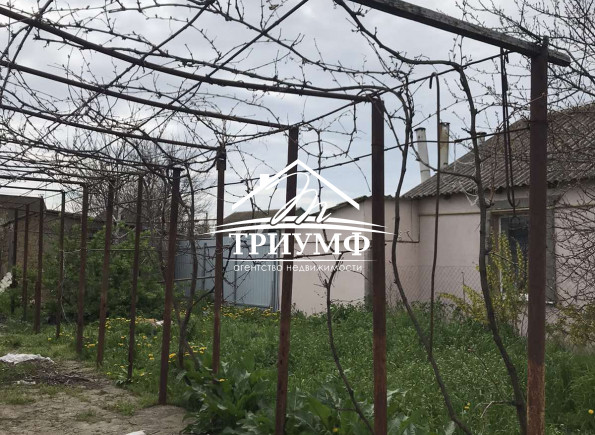 Дом с участком в Зеленовке.