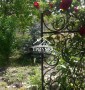 Дача с автоподъездом Наири