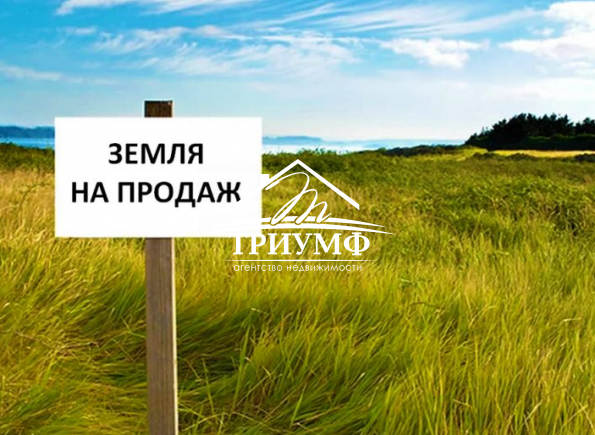 В продаже две земли на одном участке 1.2Га