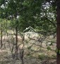 Продам Дачу участок на реке Кошевая у воды подъезд машиной