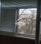 Самый зеленый район города!! 3-х комнатная с ремонтом.