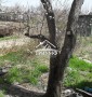 Дом в районе Автопарка в Камышанах