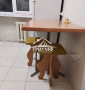Квартира в аренду на Жилпоселке!